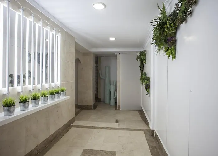 Singularstays Mercado