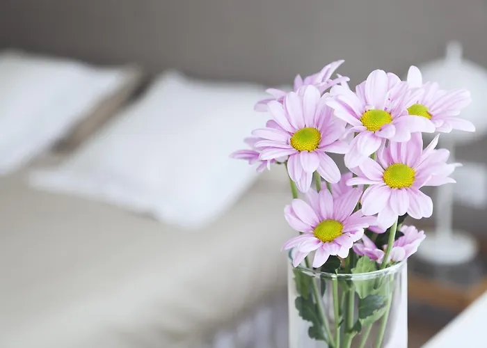 Appartement Victoria Site-luxury Center