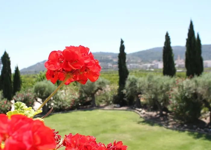 Moli El Canyisset Valencia