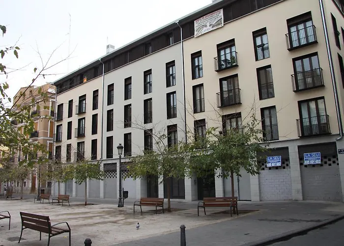 Hiedra Y Tapineria Mercado