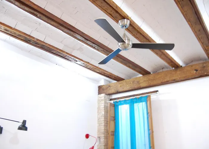 Eco-friendly فالنسيا