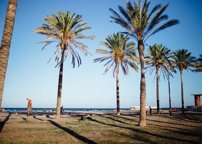 فلاتس سويداد دي لاس سينسياس