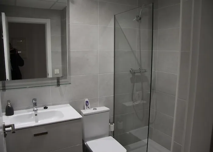 Hiedra Y Tapineria Mercado فالنسيا