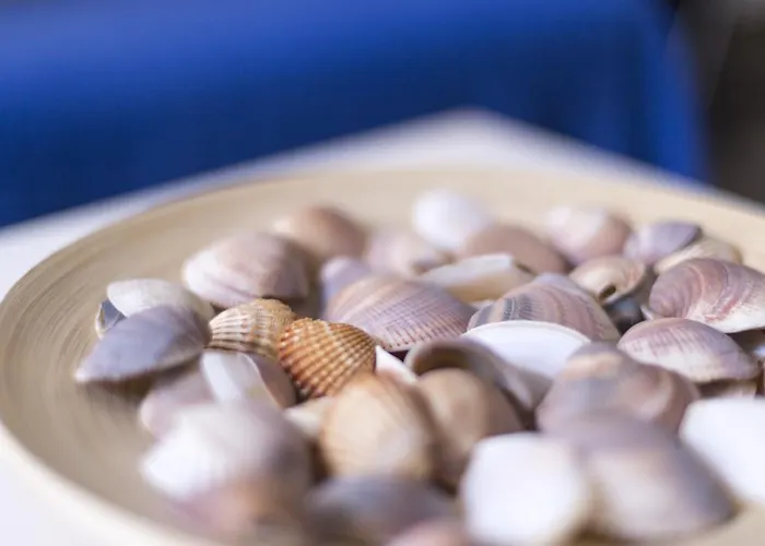 Cozy Fisherman's House * Βαλένθια