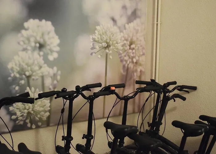 Suits Centro Historico, Establecimiento Automatizado-fast Auto Check In&out, Solo Adultos-adults Only 2* Valenza