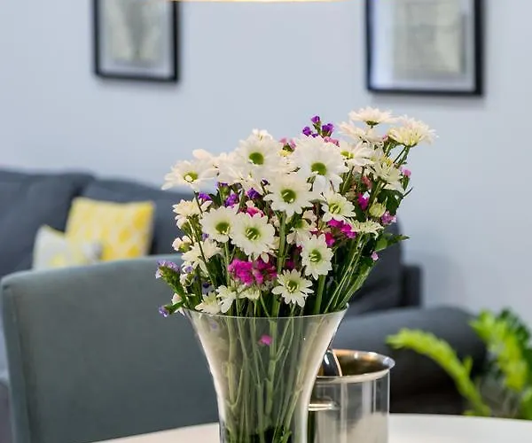 La Bombonera Del Turia Валенсия