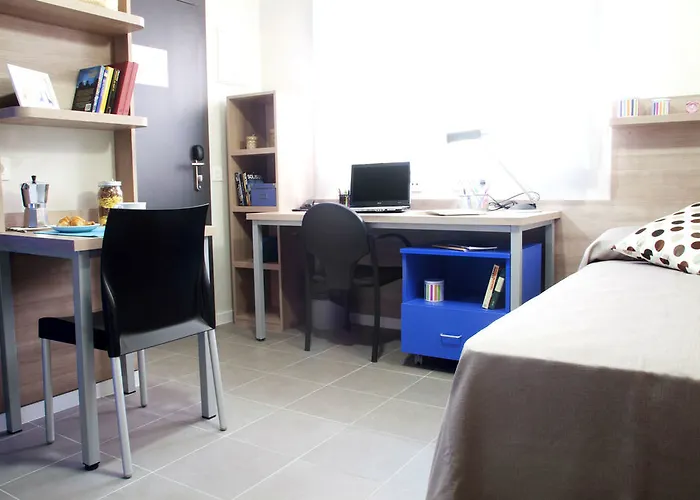 콜레지오 메이어 라 컨셉시온