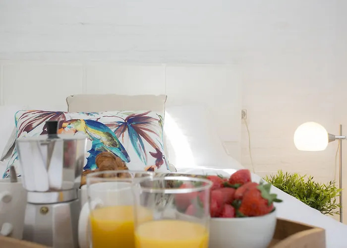 Hostal Singularstays Botanico 29