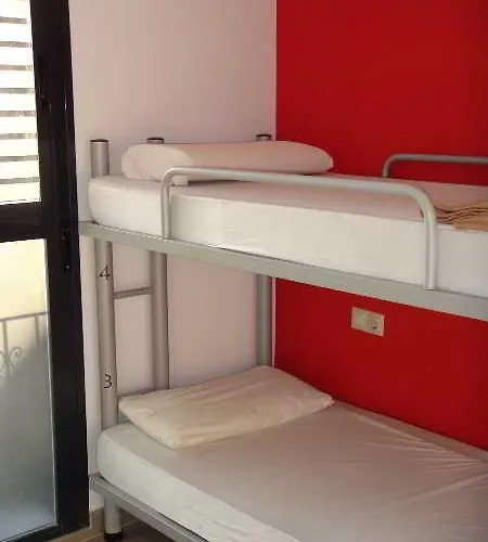 Room00 אכסניה *