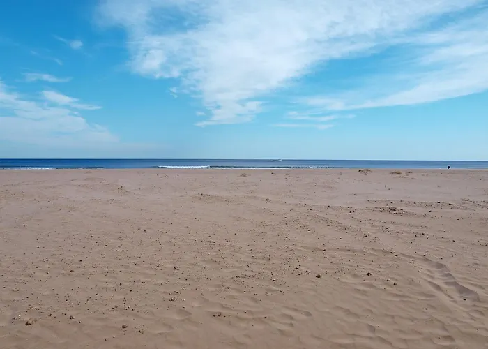 Apartup Patacona Terrace Duplex I 아파트 *