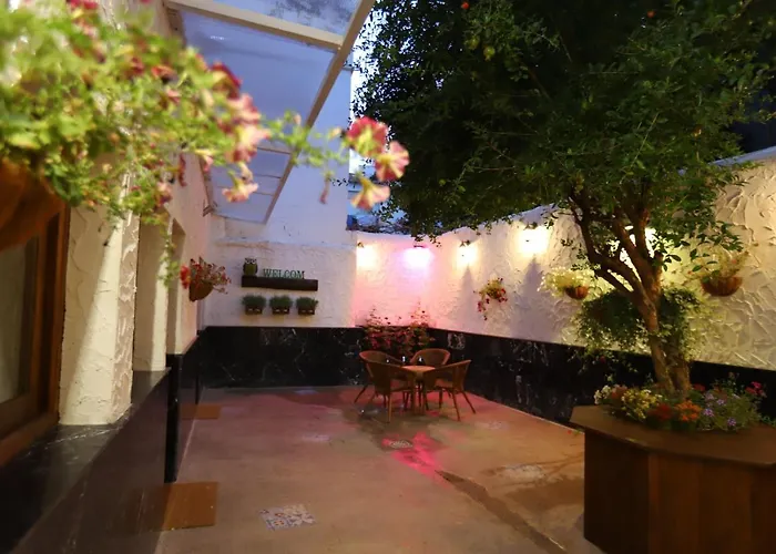 Buho House Βαλένθια