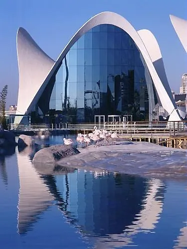 إلونيون 3 فالنسيا