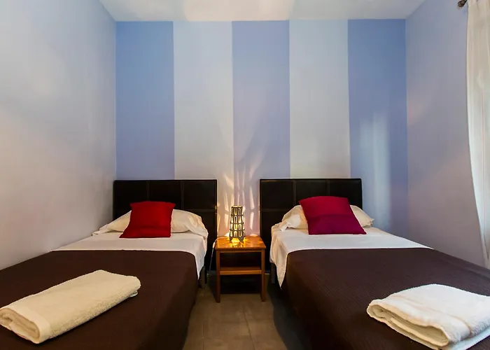 Total El Carmen 발렌시아