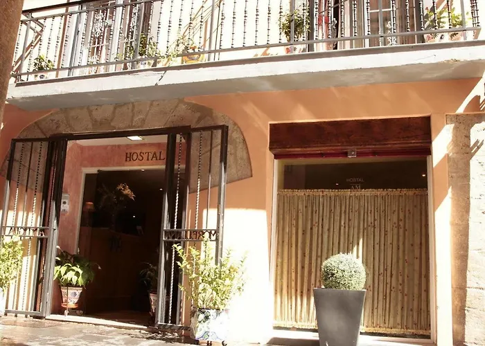 Antigua Morellana * Valence