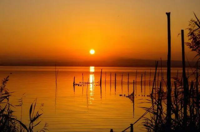 Sofia's Flat * Βαλένθια