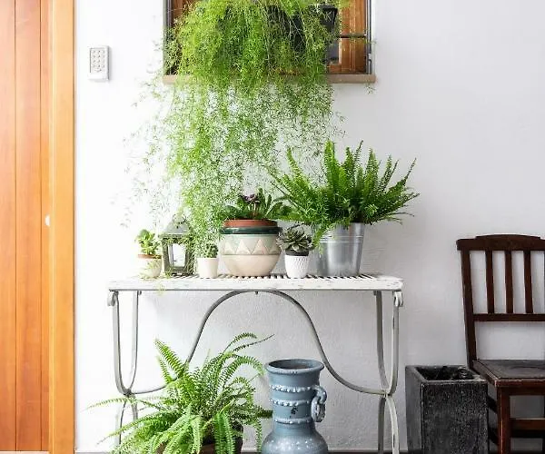 Aparthotel Barracart