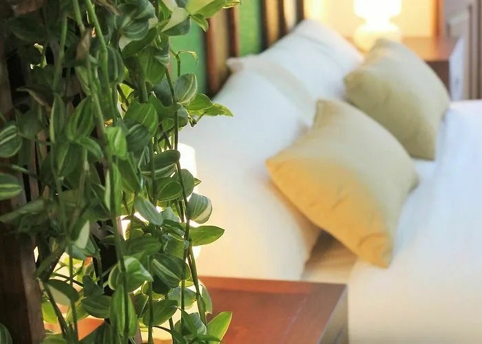 Barracart 4* Valencia