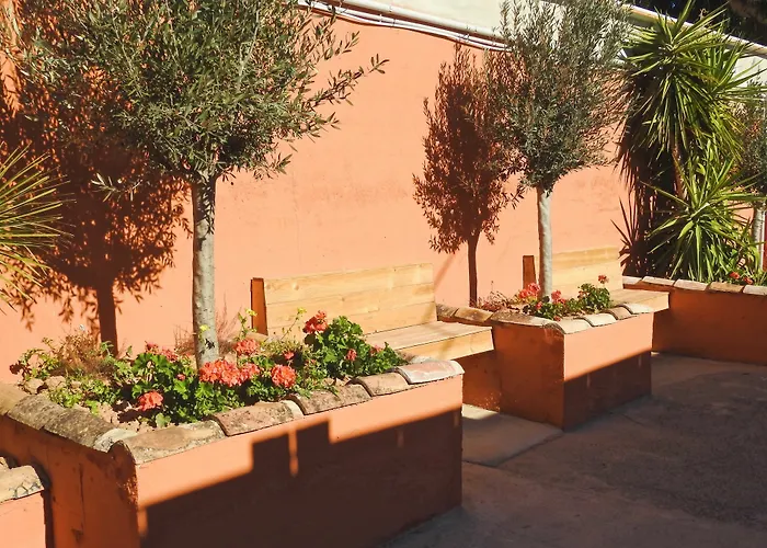 Mom La Punta Valencie