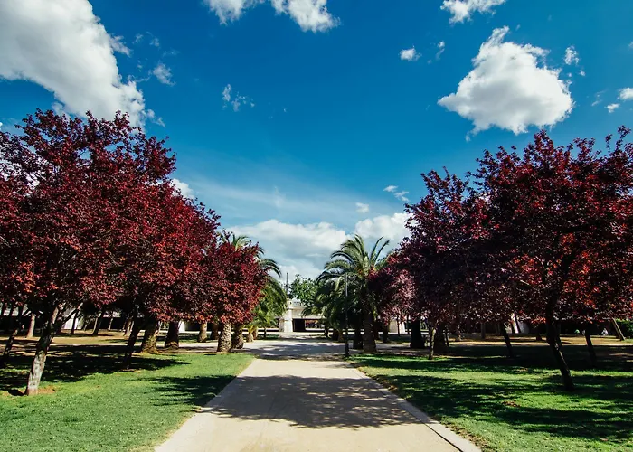 Anderson Flats * Valenza