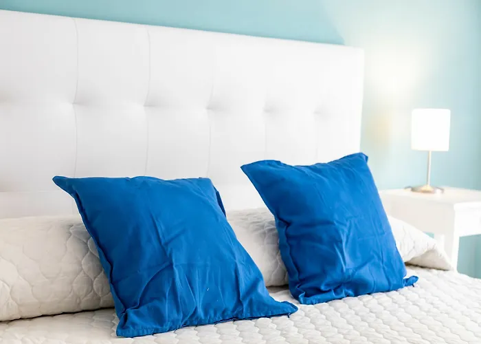 Travel Habitat Mestalla