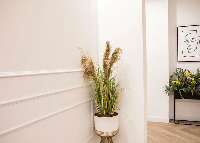 게스트하우스 Blanq Comedias 4*