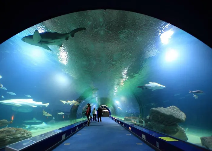 Casa Cabanyal 발렌시아