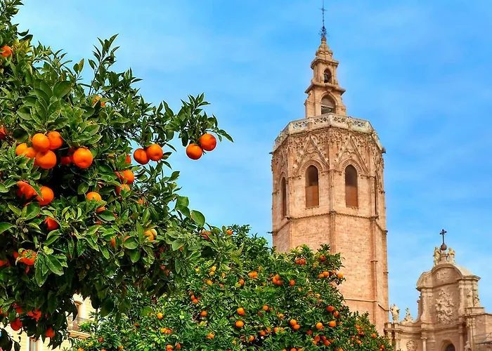Arrendamiento De Temporada En Ruzafa