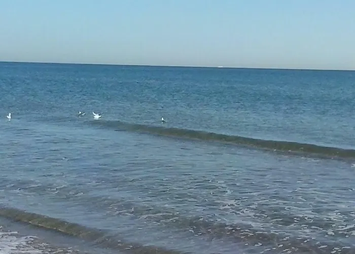 Sofia Διαμέρισμα *