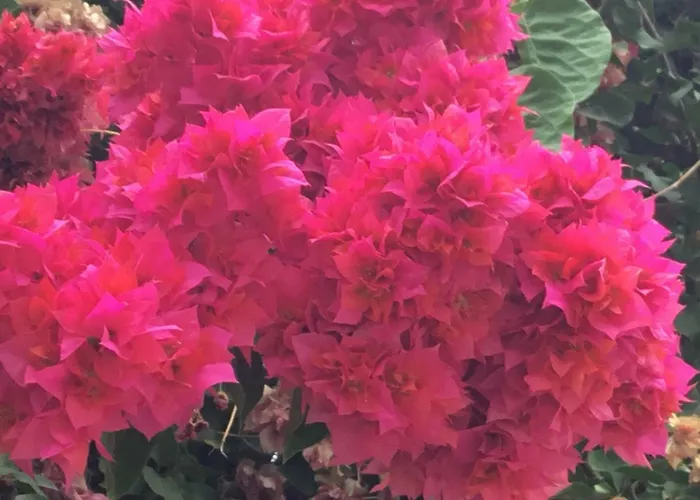 Apartamentо Menorcа менорка 아파트