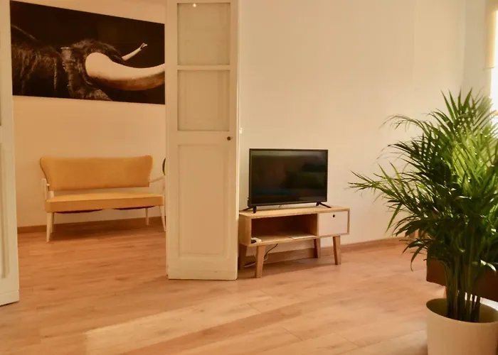 Hola - * 발렌시아