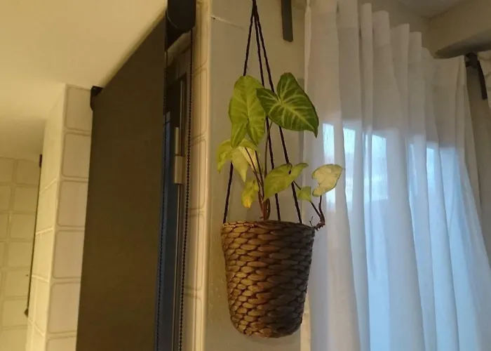 Precioso Piso Junto Al Antiguo Barrio De Campanar *