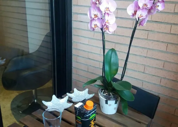 En La Ciudad De Artes Y Ciencias 발렌시아