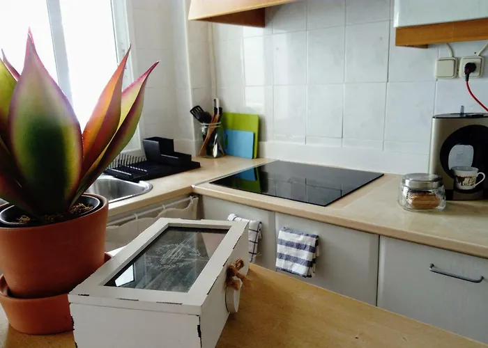 La Roqueta Completo En Pleno Centro Valencia