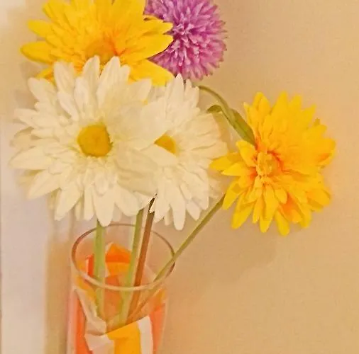 On Carrer Del Dr. Lluch Διαμέρισμα *