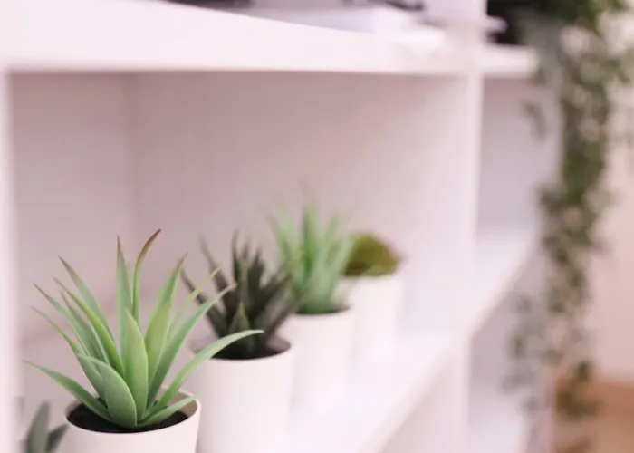 Dormavalencia Apartament *