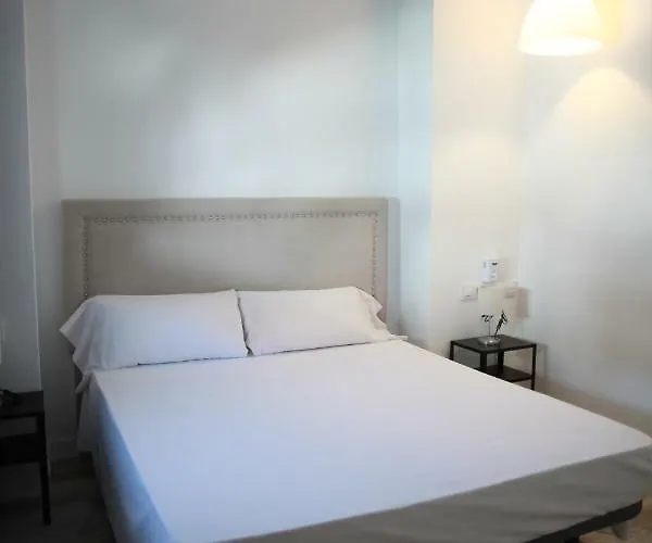 Nwt Station * Valencia