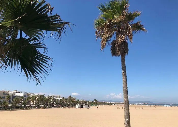 Gold Beach Valencia