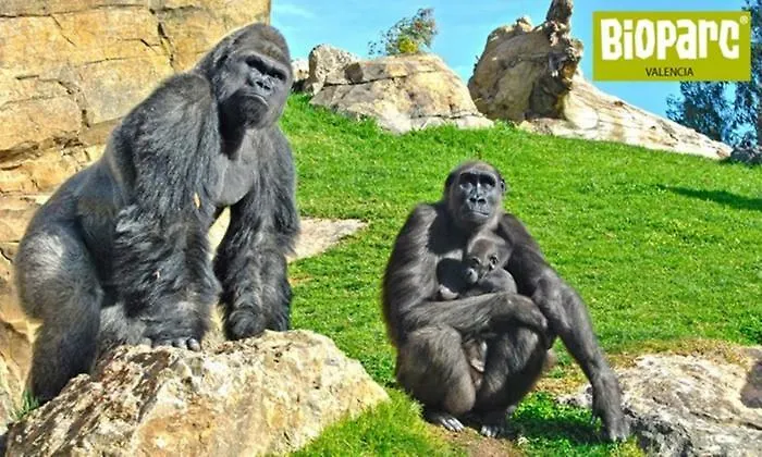 Apartamento Bioparc Metro Valencia