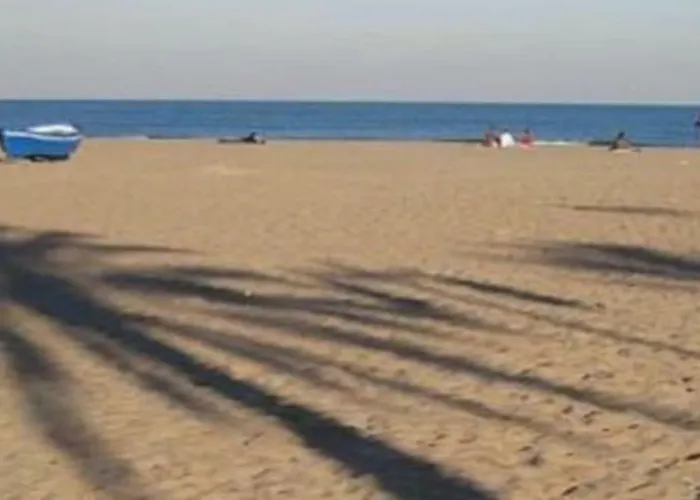 Loft En La Ciudad De Ciencias Y Cerca De La Playa Valencia
