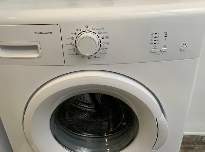 Center 홈스테이 *