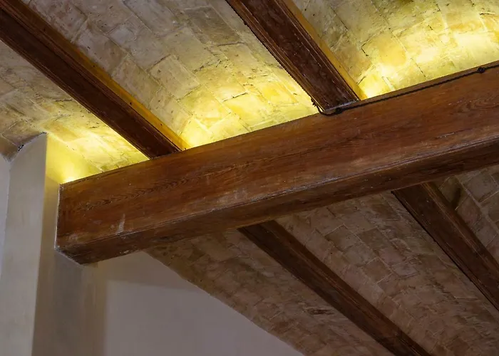 Natural Loft * فالنسيا