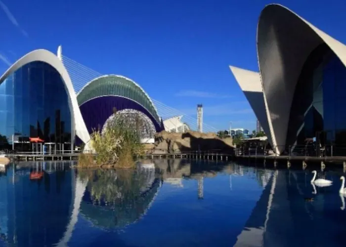 En La Ciudad De Ciencias Y Cerca De La Playa