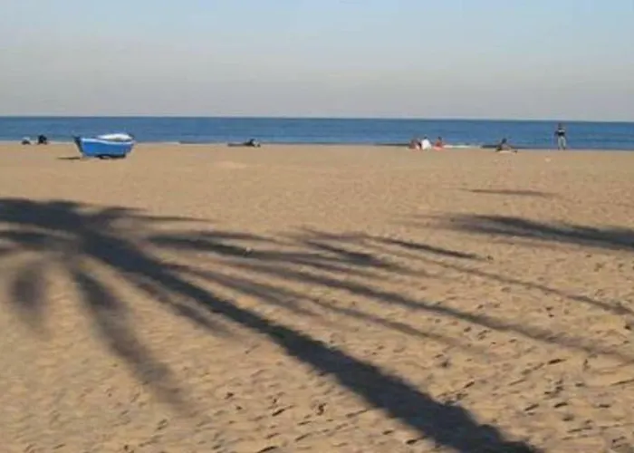 En La Ciudad De Ciencias Y Cerca De La Playa *