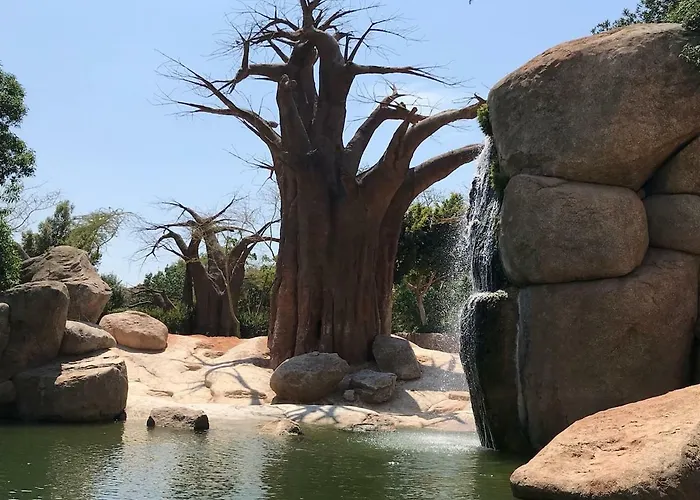 아파트 Cozy In Valencia! Wi-fi !