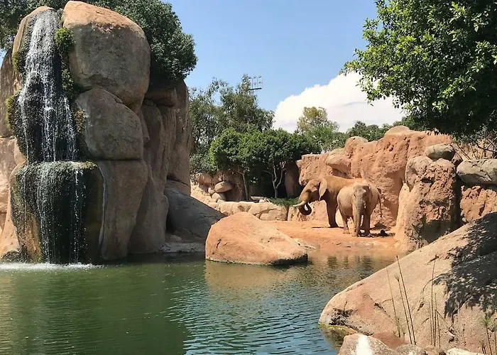 Cozy In Valencia! Wi-fi ! 발렌시아