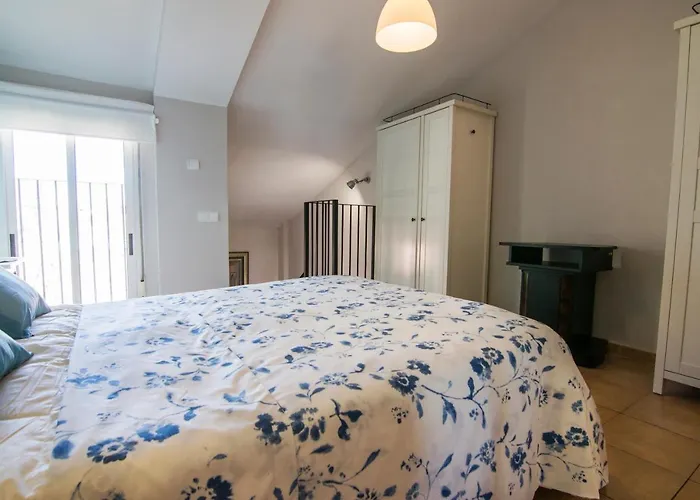 Vlc Host - Doctor Lluch *