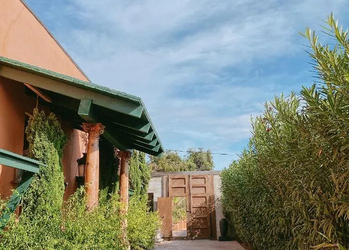 Mom La Punta Valencie