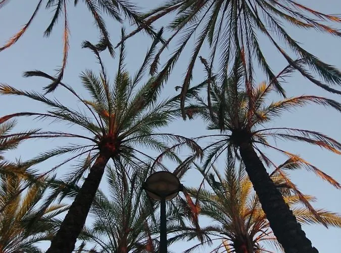 Luxury شقة فالنسيا