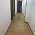 Zerka Centro Apartmán