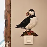 Bird House 3*